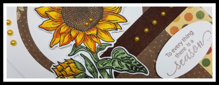 Sunflower Release header 2