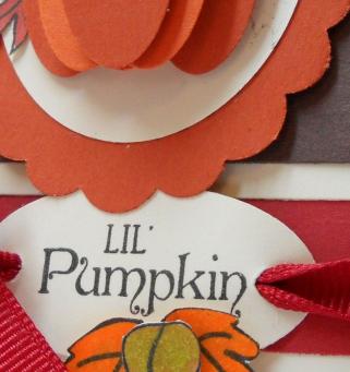 lil-pumpkin-closeup.jpg